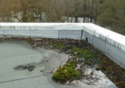 Eau stagnante et mousse sur une toiture terrasse